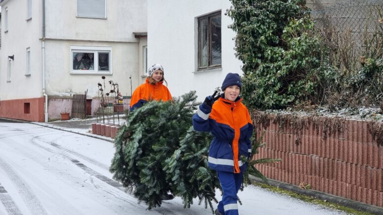 Jugendfeuerwehr sammelt die Weihnachtsbäume ein
